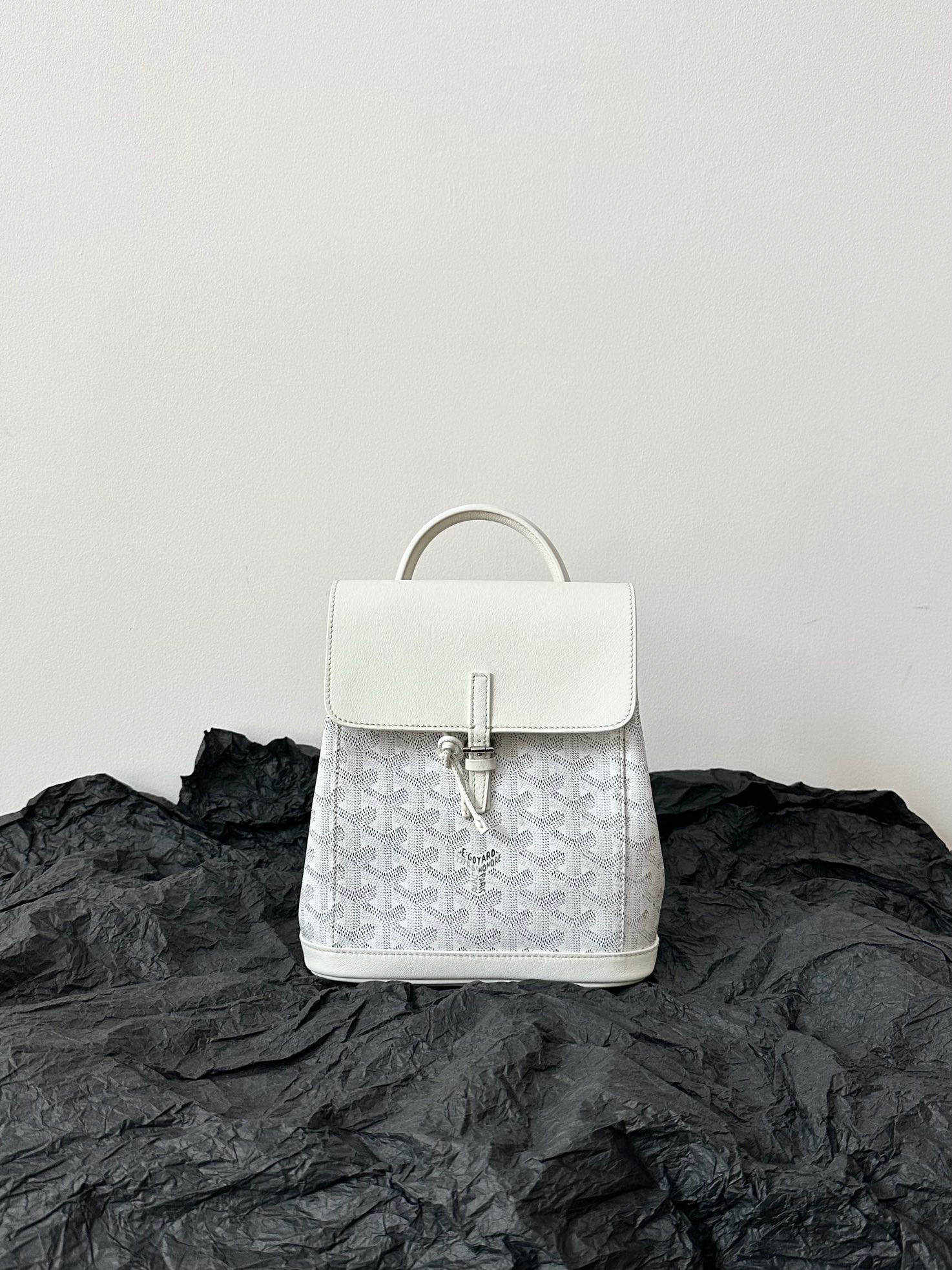 고야드 Goyard 6011 백팩 23cm