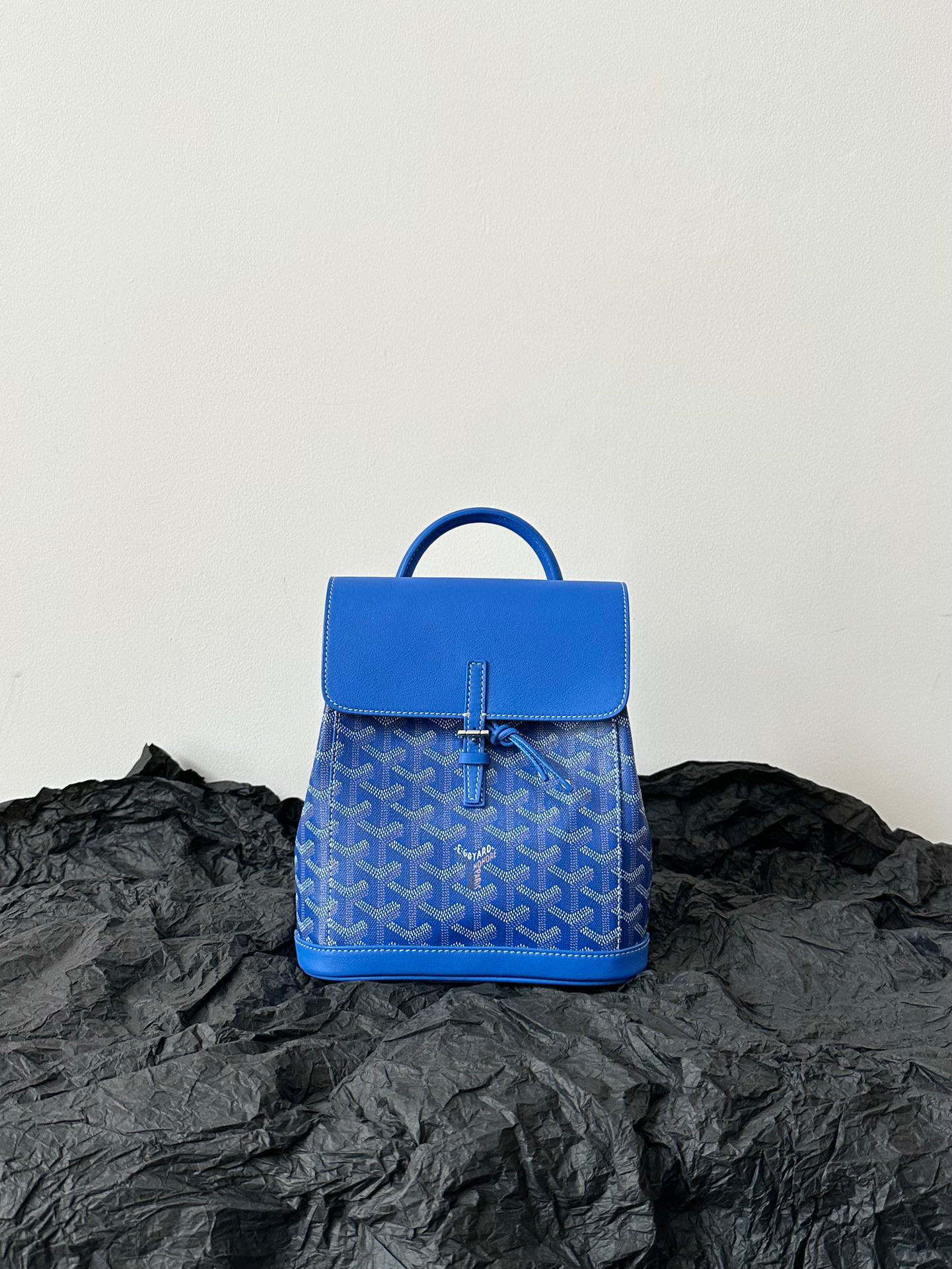 고야드 Goyard 6011 백팩 23cm