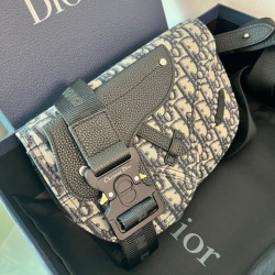 디올 Dior 크로스 백 24CM