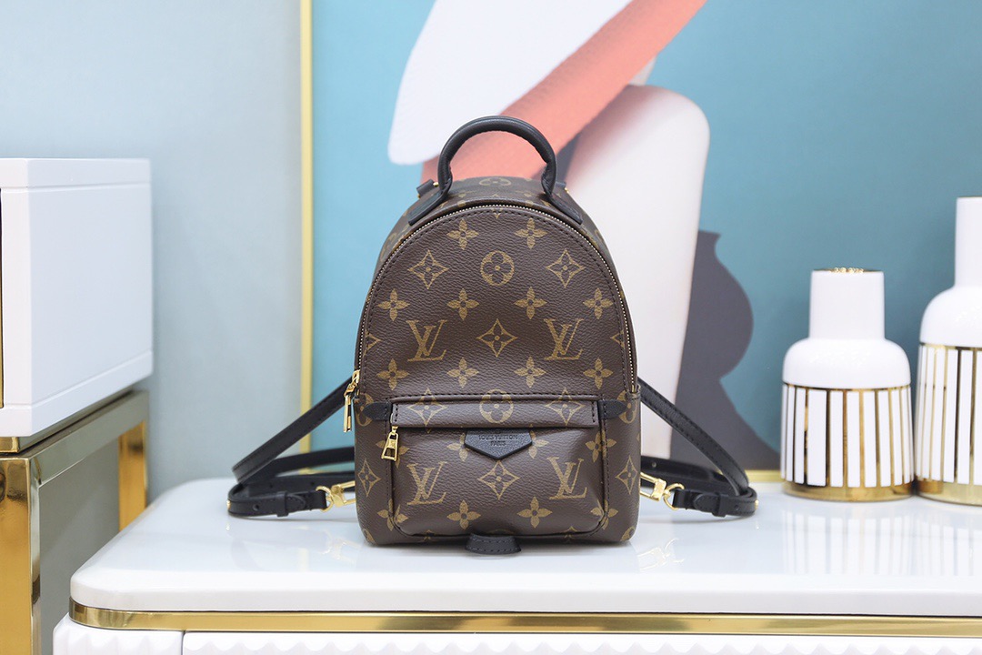 루이비통 Louis Vuitton 44873 백팩 17CM