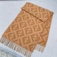펜디 FENDI 캐시미어 스카프 170*48cm
