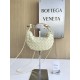 보테가 베네타 Bottega Veneta MINI Sardine 744267
