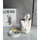로에베 Loewe Pebble 버킷 백 16CM