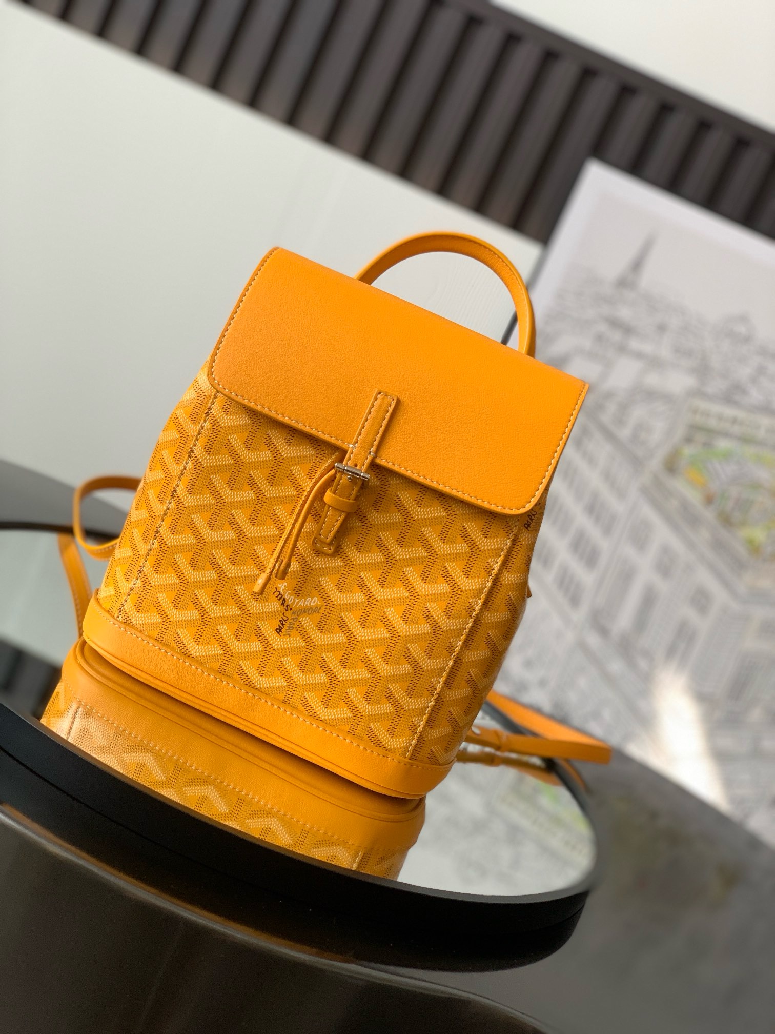 고야드 Goyard Alpin 백팩 23CM