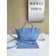 보테가베네타 Bottega Veneta MINI Cabat토트 백 709464