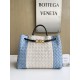 보테가베네타 Bottega Veneta Andiamo  796592