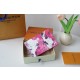 루이비통 Louis Vuitton M83479 지갑 14CM