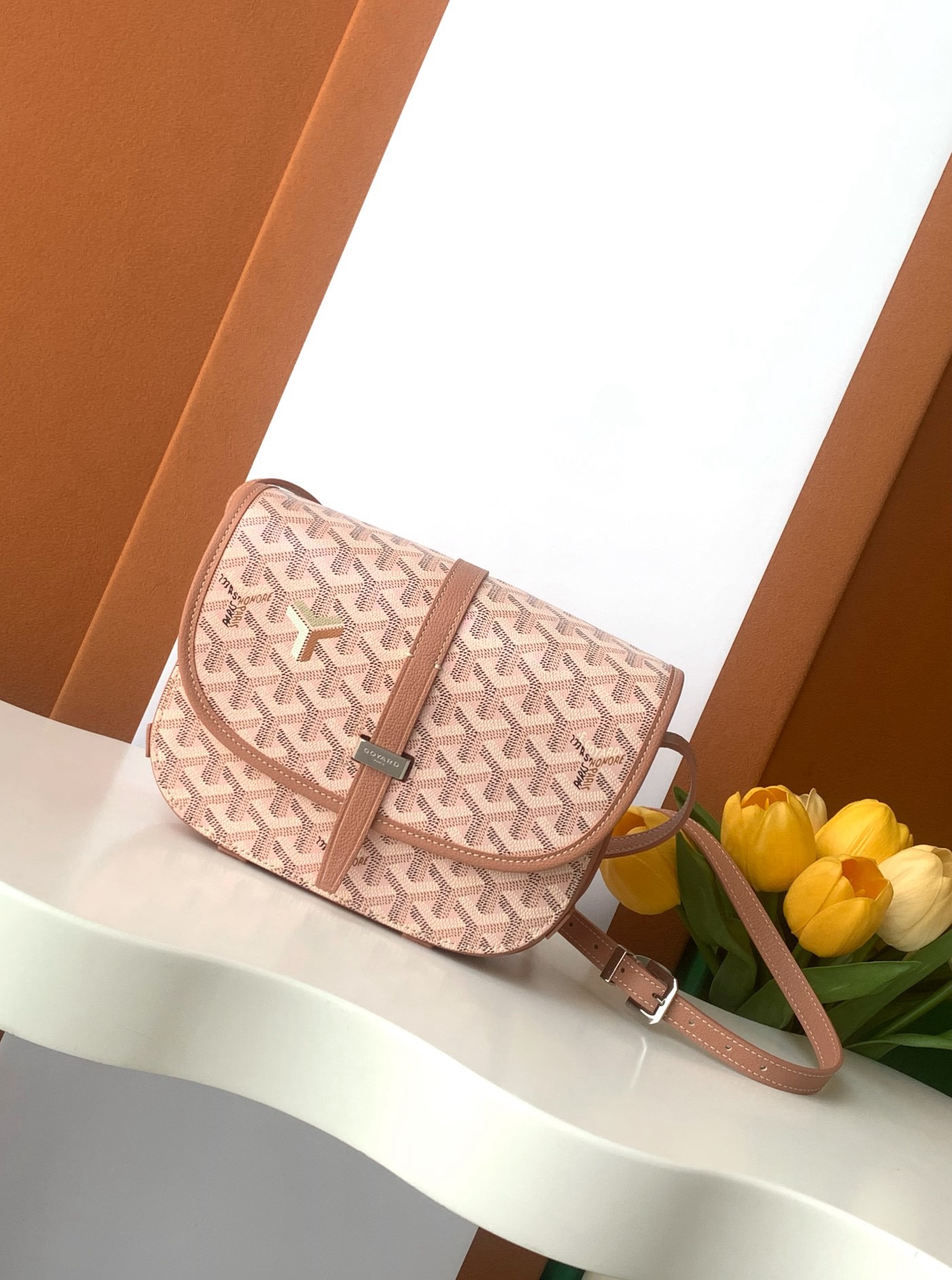 고야드 Goyard Belvedere 크로스 백 22CM