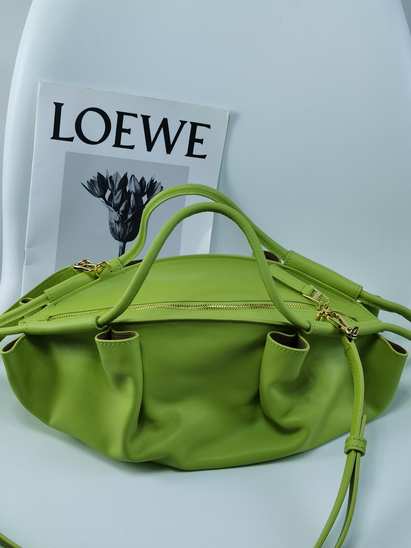로에베 Loewe 1668 Small Paseo Bag In Shiny Nappa Calfskin 35cm