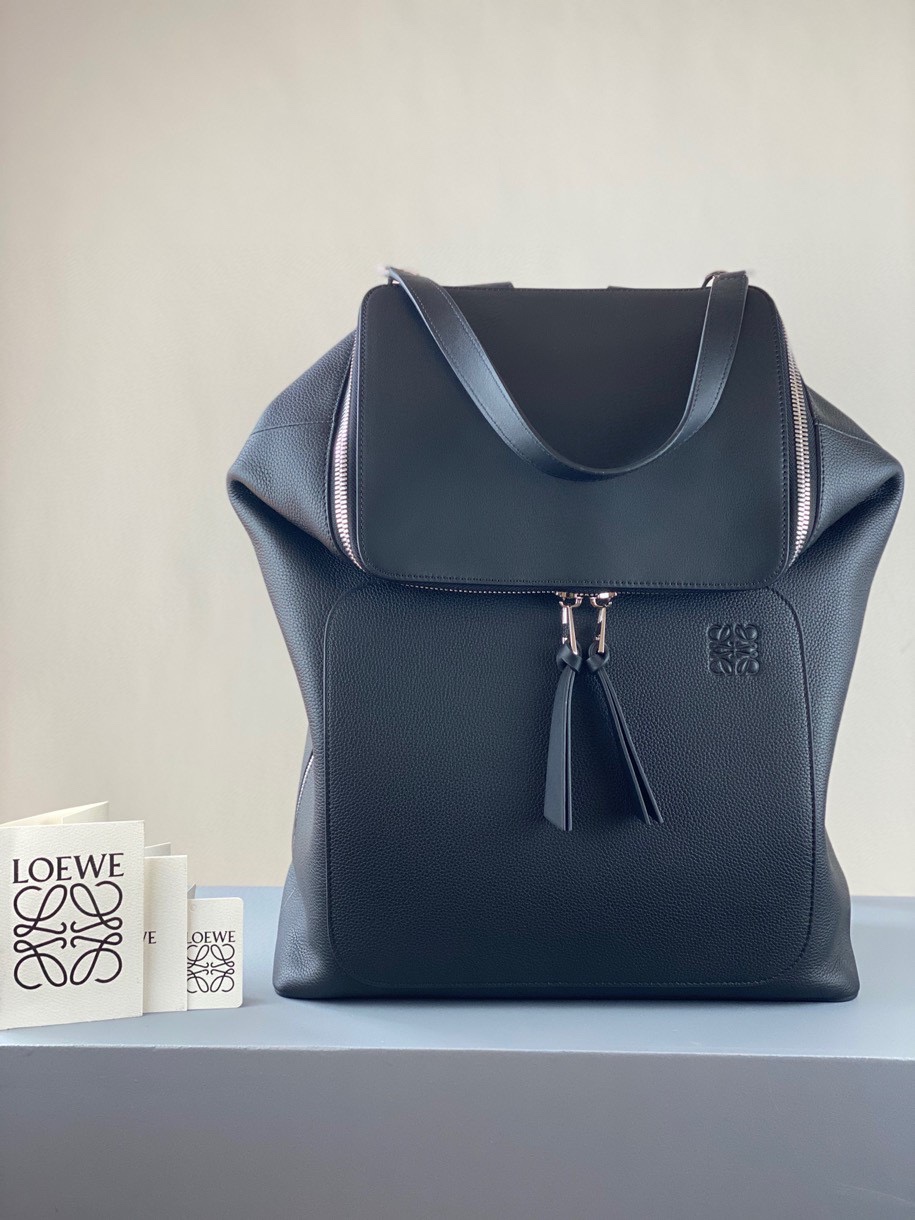 로에베 Loewe 325 Goya 백팩