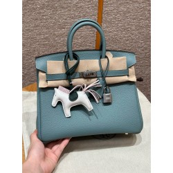 에르메스 Hermes Birkin 25cm Togo 7G Ciel/silver