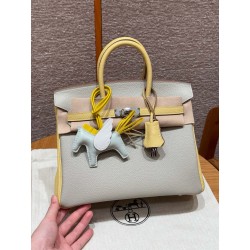 에르메스 Hermes Birkin 25cm Togo 80 Gris Perle and 1Z Jaune Poussin/silver