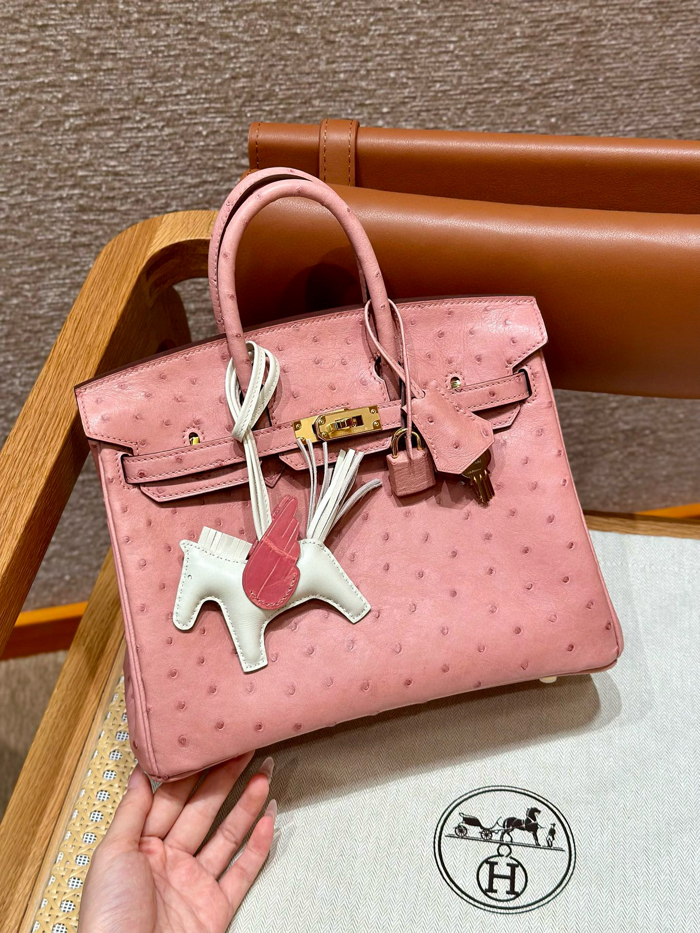 에르메스 Hermes Birkin 25cm KK ostrich 94 Terre Cuite/gold