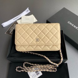 샤넬 Chanel Classic Wallet On Chain WOC 체인 지갑 A33814 20cm
