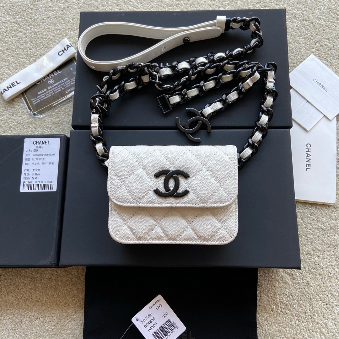 샤넬 Chanel Classic Wallet On Chain WOC 체인 지갑 A81088 12.5cm