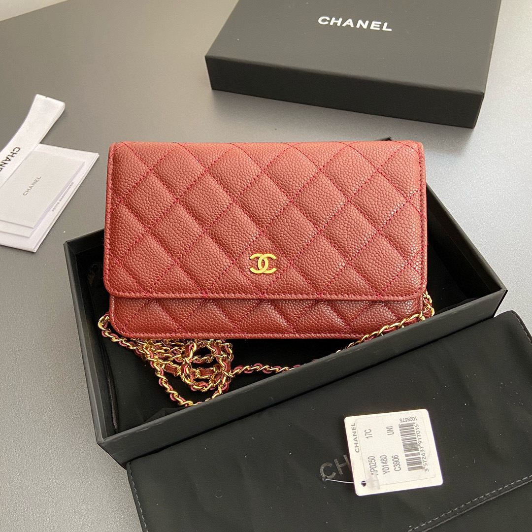 샤넬 Chanel Classic Wallet On Chain WOC 체인 지갑 AP0250 20cm