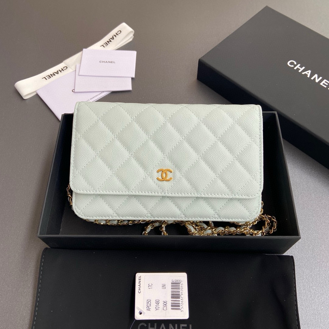 샤넬 Chanel Classic Wallet On Chain WOC 체인 지갑 AP0250 20cm