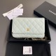 샤넬 Chanel Classic Wallet On Chain WOC 체인 지갑 AP0250 20cm
