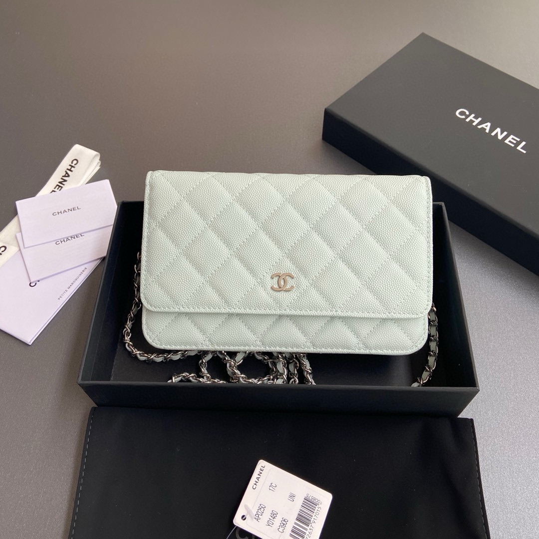 샤넬 Chanel Classic Wallet On Chain WOC 체인 지갑 AP0250 20cm