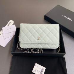 샤넬 Chanel Classic Wallet On Chain WOC 체인 지갑 AP0250 20cm