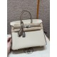 에르메스 Hermes Birkin 25cm Togo 10 Craie and 81 Gris tourterlle/silver