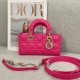 디올 Dior Small Lady D-Joy Bag Rose red 22cm