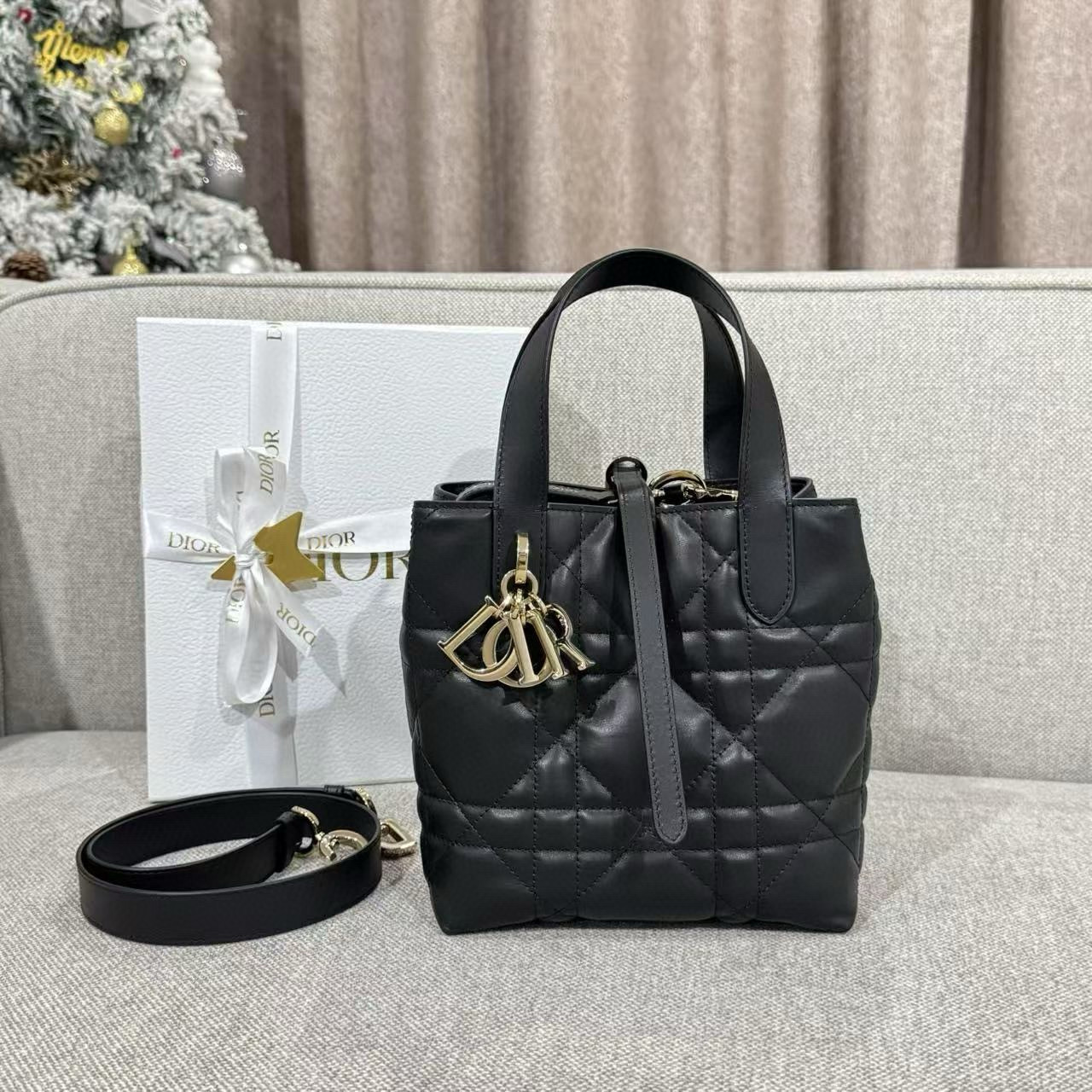 디올 Dior Small Dior Toujours Vertical Tote Bag Black 18.5cm