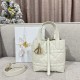 디올 Dior Small Dior Toujours Vertical Tote Bag Beige 18.5cm