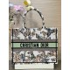 디올 Dior Medium Dior Book Tote Green butterfly 36.5cm