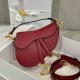 디올 Dior Mini Saddle Bag with Strap red 19cm