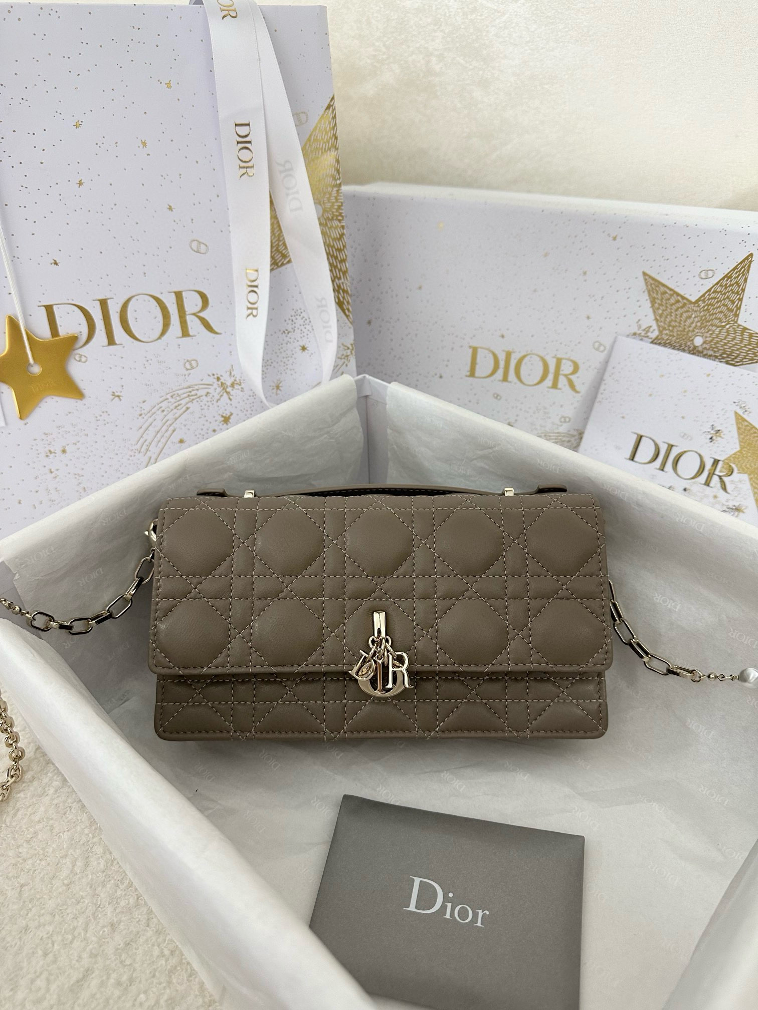 디올 Dior My Dior Mini Bag Dark grey 21cm
