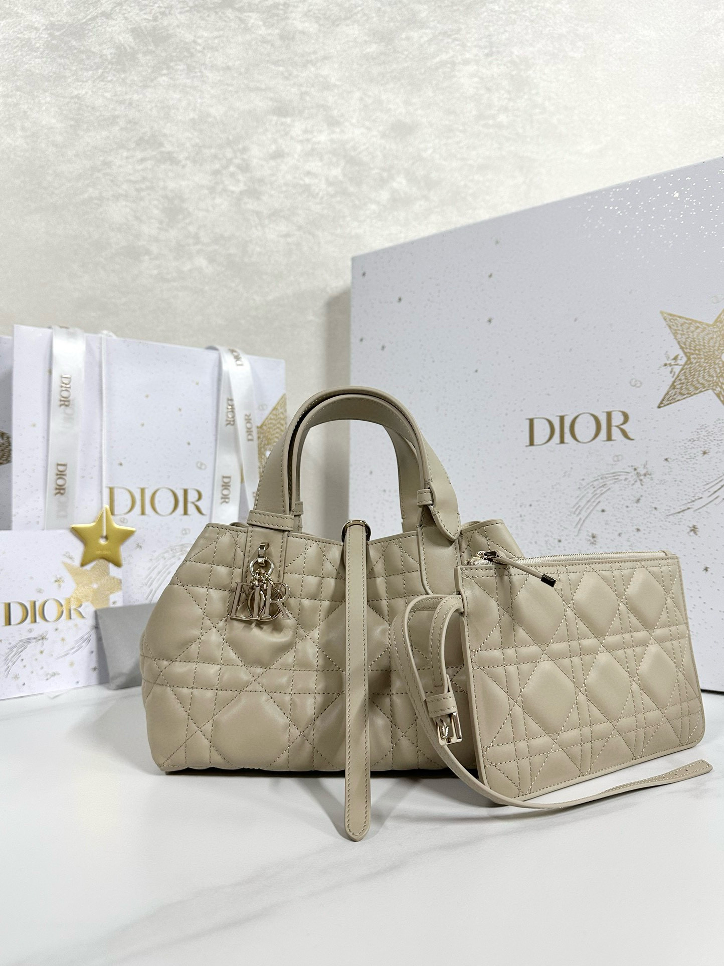디올 Dior Small Dior Toujours Bag Apricot 23cm