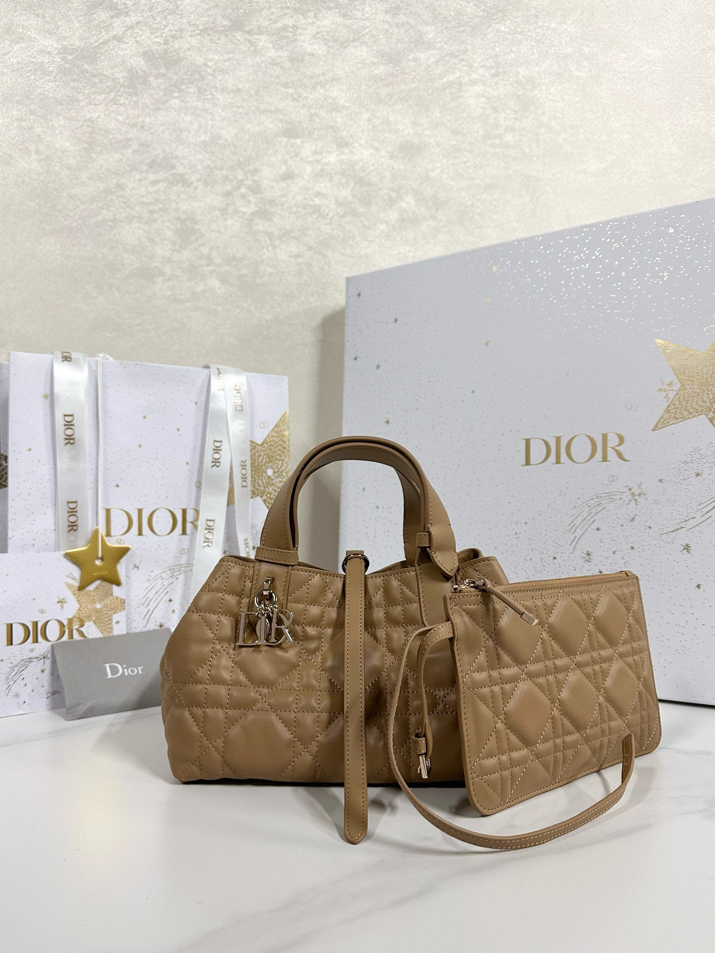 디올 Dior Small Dior Toujours Bag Caramel  23cm