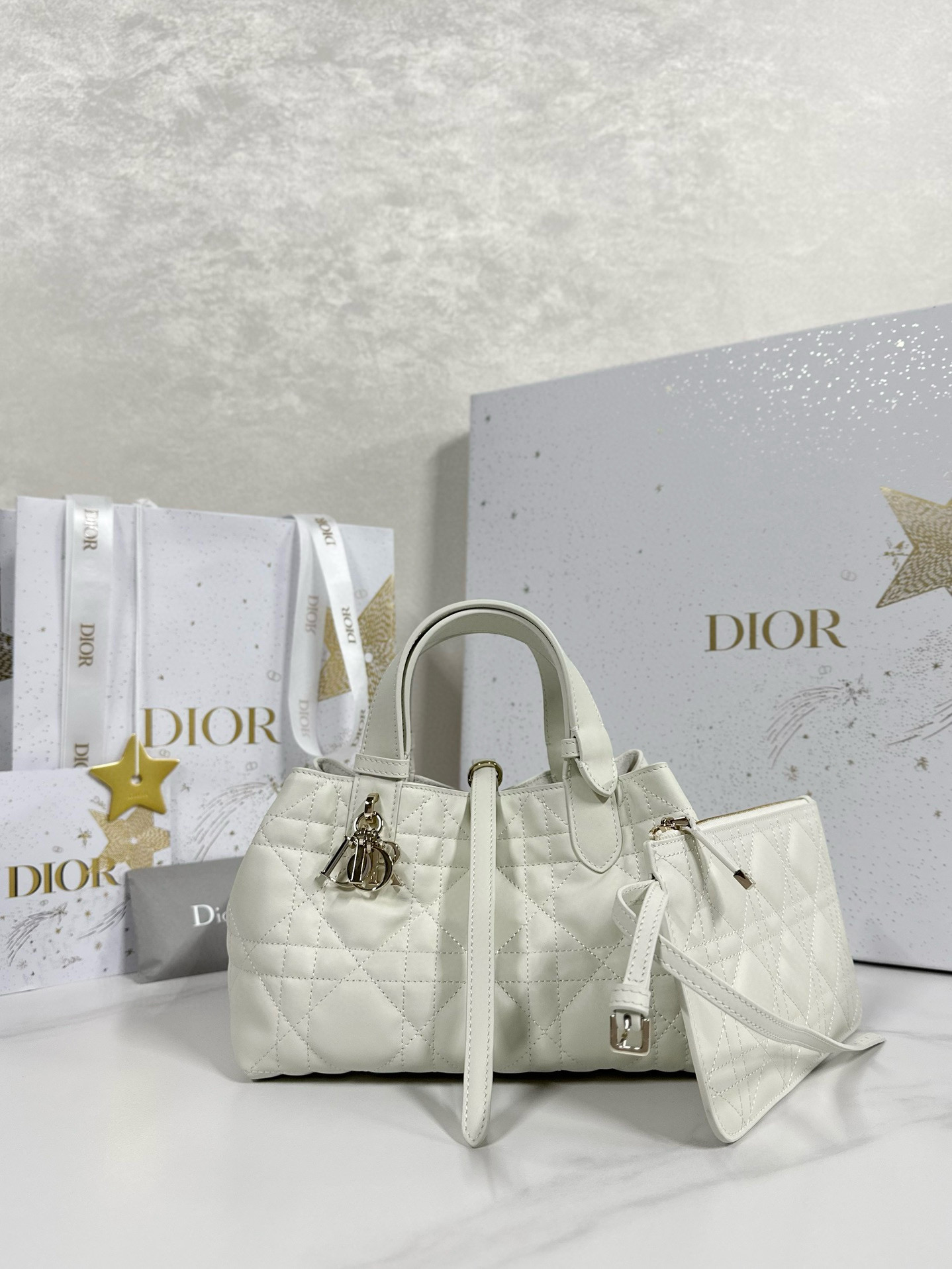 디올 Dior Small Dior Toujours Bag White 23cm