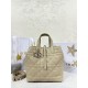 디올 Dior Medium Dior Toujours Vertical Tote Bag Apricot 20cm