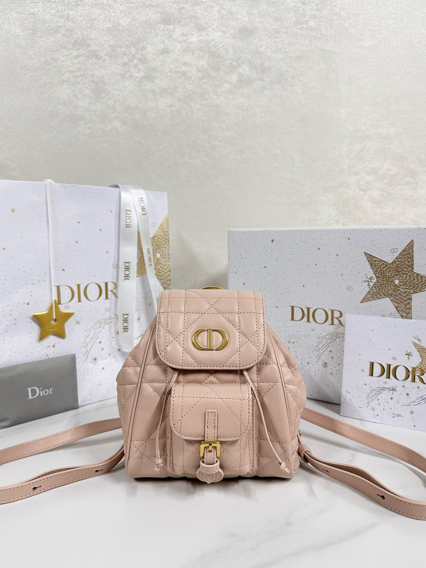 디올 Dior Small Dior Caro Backpack Pink 20cm