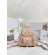 디올 Dior Small Dior Caro Backpack Pink 20cm
