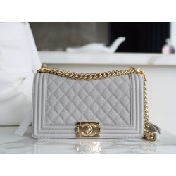 샤넬 Chanel Medium Leboy Bag A67086 grey 25cm