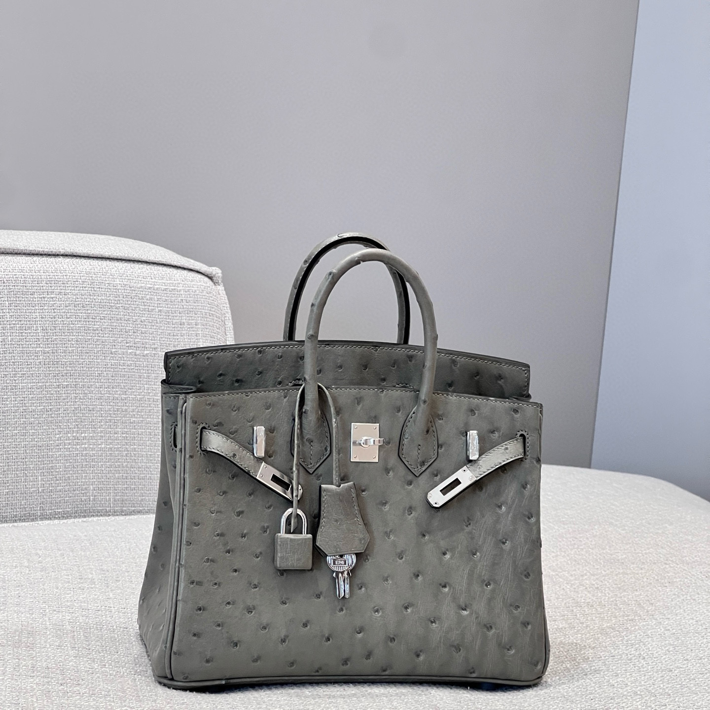 에르메스 Hermes Brikin 25cm KK ostrich 0L Girs Meyer/silver