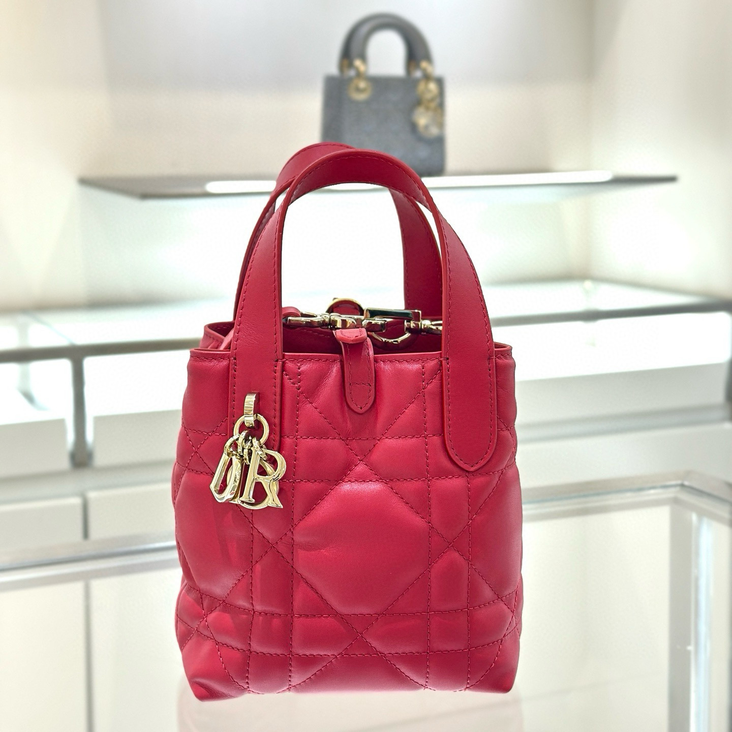 디올 Dior Toujours Vertical Nano Tote Bag Red 13cm
