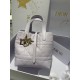 디올 Dior Small Dior Toujours Vertical Tote Bag Light purple 16cm