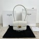 셀린느 Celine 121423 Teen Josephine Bag in Shiny Calfskin Rice 18.5cm