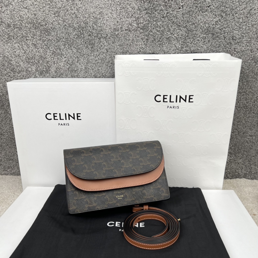 셀린느 Celine 100852 TRIOMPHE CANVAS BAG 20cm