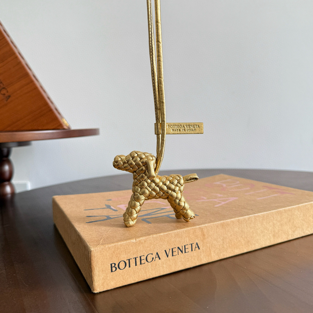 보테가베네타 Bottega Veneta 807068 도그 참