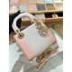디올 Dior Mini Lady Bag 17cm