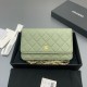 샤넬 Chanel Classic Wallet On Chain WOC 체인 지갑 AP0250 20cm
