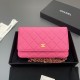 샤넬 Chanel Classic Wallet On Chain WOC 체인 지갑 AP0250 20cm