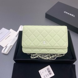 샤넬 Chanel Classic Wallet On Chain WOC 체인 지갑 AP0250 20cm