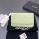 샤넬 Chanel Classic Wallet On Chain WOC 체인 지갑 AP0250 20cm