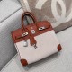 에르메스 Hermes Birkin 25cm Toile France Leather 5F Potiron/silver